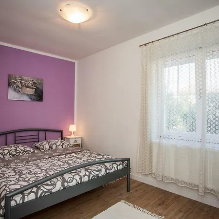 & Poppy Rose 자다르